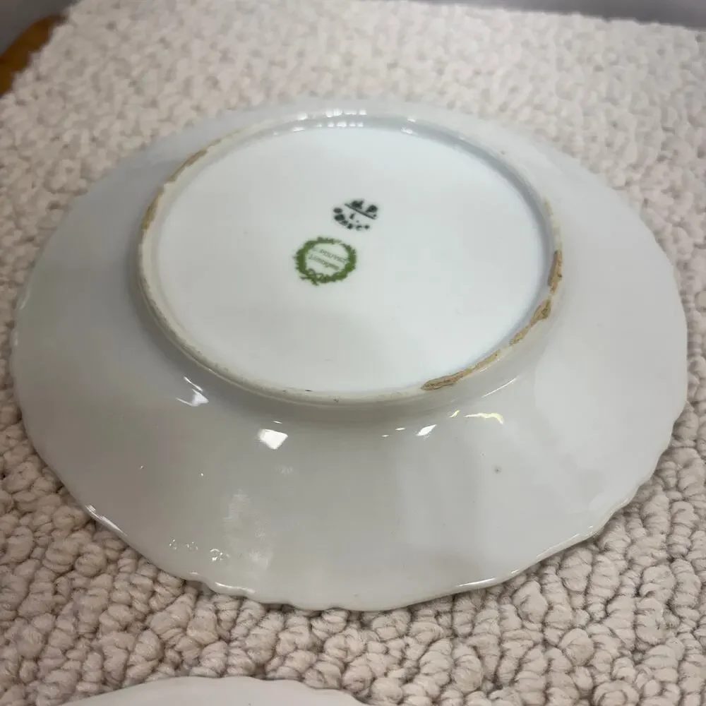 Antique J. Pouyat Limoges Plates 6